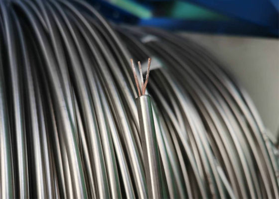 Good price Type K Mineral Insulated Thermocouple  MI Wire online